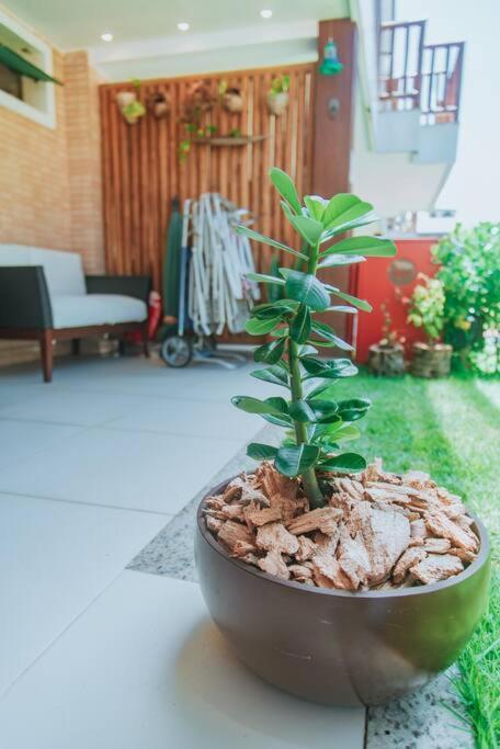 Apartment Refugio Pe Na Areia Decorado Em Camacari - Itacimirim Camassari